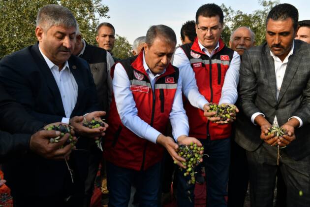 Vali şıldak, Şanlıurfa’da 3 Milyon Adet Zeytin Ağacı Var