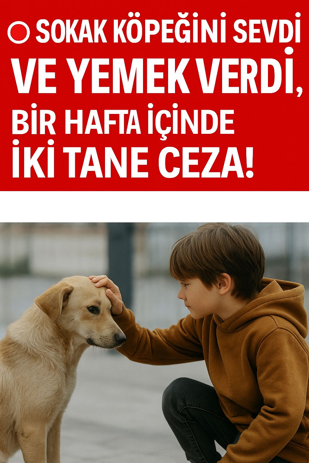 Vicdan Değil, Ceza Konuştu! Birecik’te Hayvan Sevgisi Suç Sayıldı